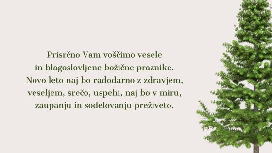 bozicno-novoletno-voscilo-7