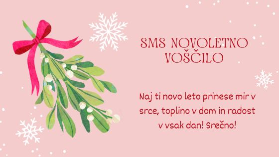 sms-novoletno-voscilo-4